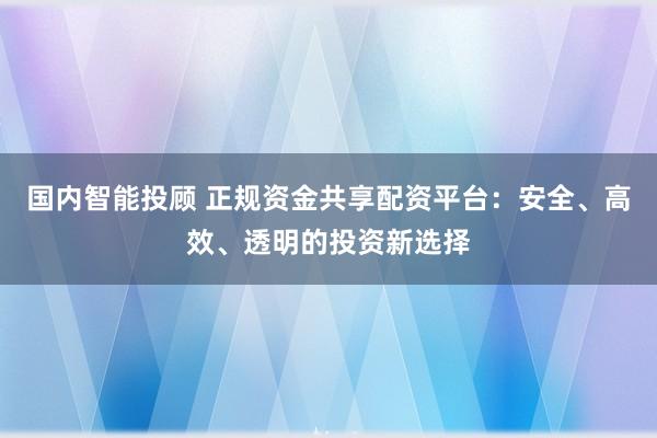 国内智能投顾 正规资金共享配资平台：安全、高效、透明的投资新选择