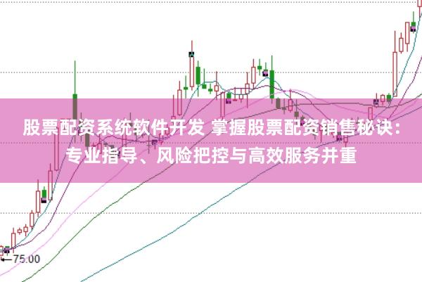 股票配资系统软件开发 掌握股票配资销售秘诀：专业指导、风险把控与高效服务并重