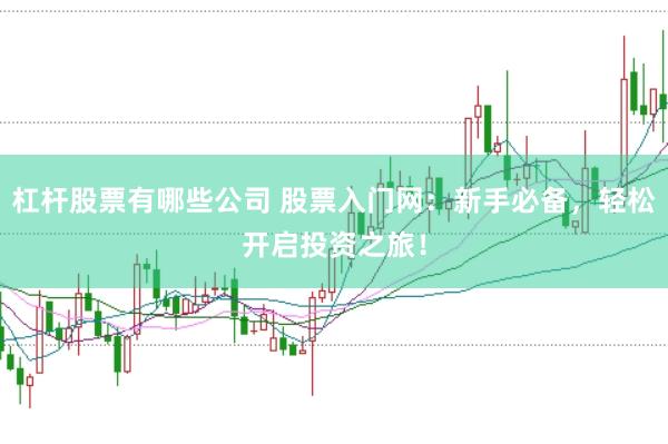 杠杆股票有哪些公司 股票入门网：新手必备，轻松开启投资之旅！