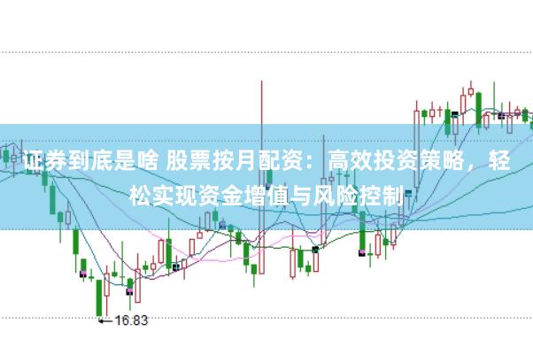 证券到底是啥 股票按月配资：高效投资策略，轻松实现资金增值与风险控制