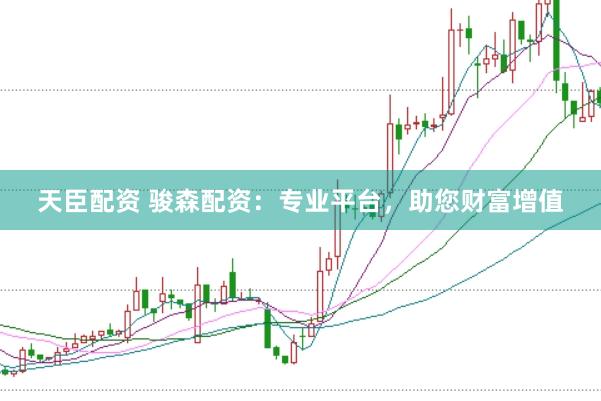 天臣配资 骏森配资：专业平台，助您财富增值