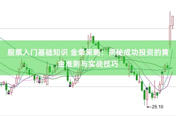 股票入门基础知识 金夆策略：揭秘成功投资的黄金准则与实战技巧