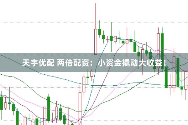 天宇优配 两倍配资：小资金撬动大收益！