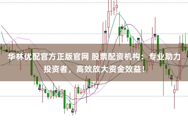 华林优配官方正版官网 股票配资机构：专业助力投资者，高效放大资金效益！