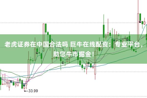 老虎证券在中国合法吗 巨牛在线配资：专业平台，助您牛市掘金！