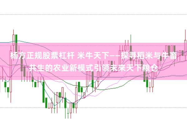 杨方正规股票杠杆 米牛天下——探寻稻米与牛畜共生的农业新模式引领未来天下粮仓