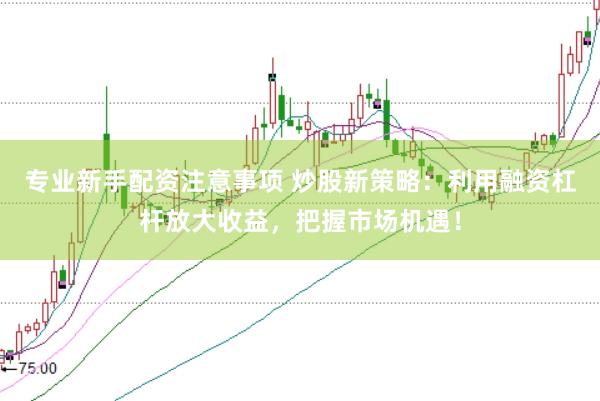 专业新手配资注意事项 炒股新策略：利用融资杠杆放大收益，把握市场机遇！