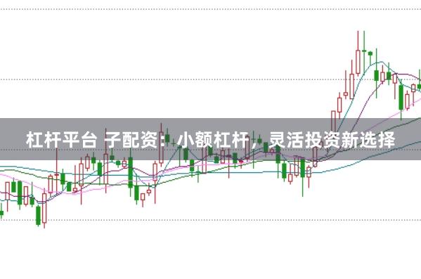 杠杆平台 子配资：小额杠杆，灵活投资新选择