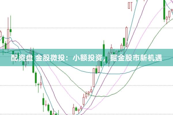 配资盘 金股微投：小额投资，掘金股市新机遇