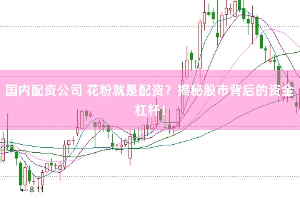 国内配资公司 花粉就是配资？揭秘股市背后的资金杠杆！